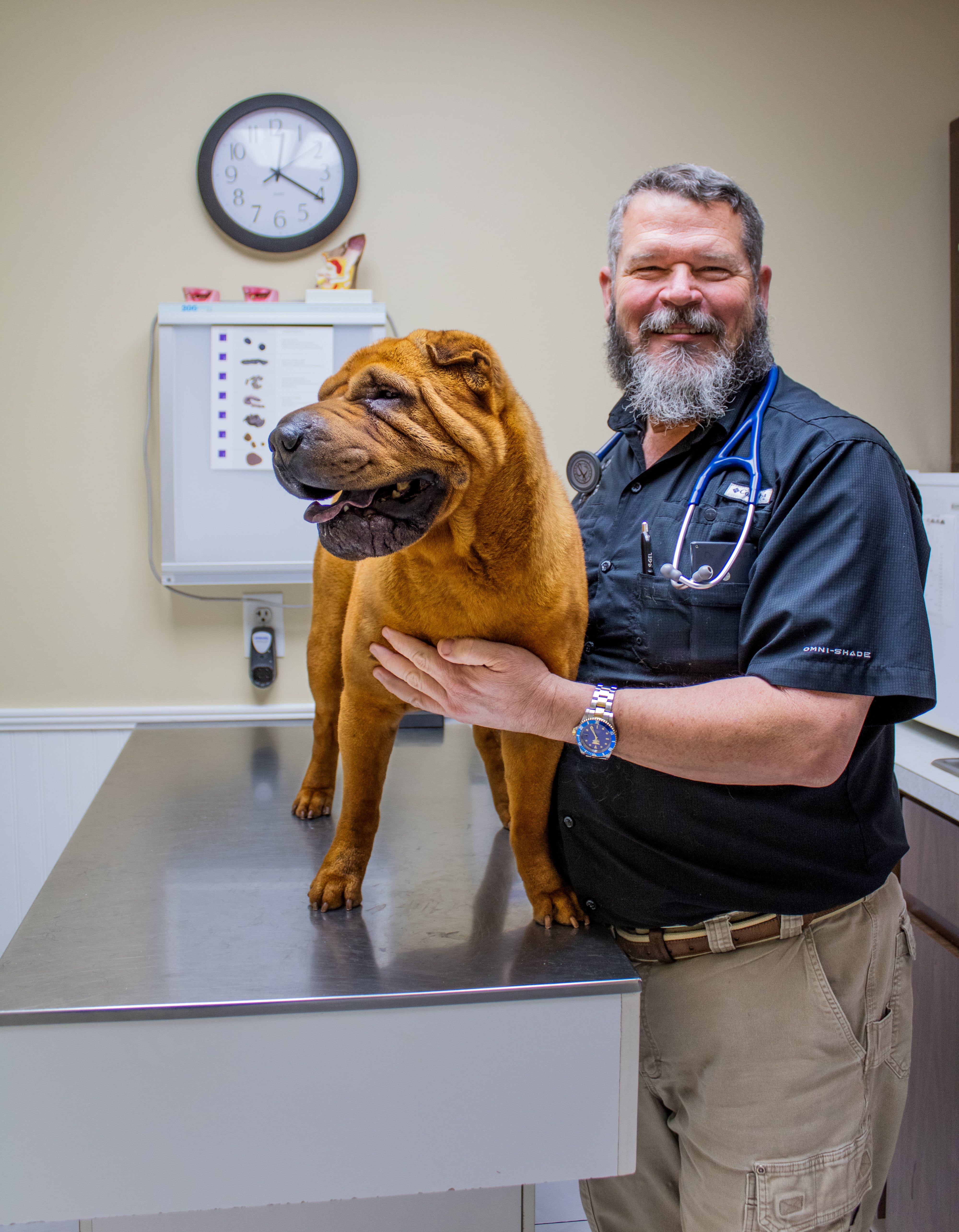 Home | Veterinarian in Leesburg, FL | Northgate Animal Clinic